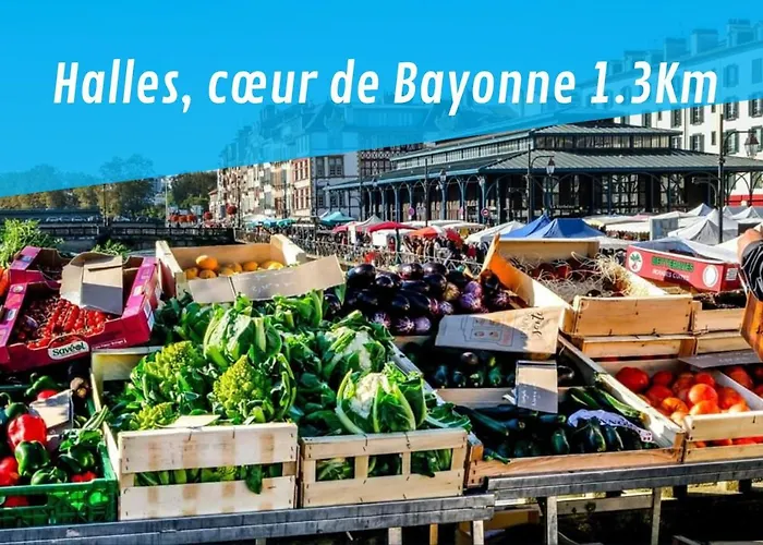 Lasaia St Esprit T3 Proche Adour Apartamento *